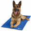 Polar Pooch Pet Cooling Mat
