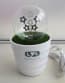 LED Flower Pot Night Light