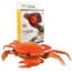 Infrared Remote Control Giant Crab Prank