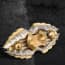 Wakeach Egypt Beatles Fidget Spinner EDC ADHD Focus Toy