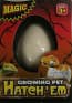 Hatching Animal Egg Toy - Dinosaur