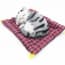 Perfect Petzzz Realistic Sleeping Breathing Cat Soft Toy