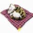 Perfect Petzzz Realistic Sleeping Breathing Cat Soft Toy