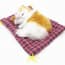 Perfect Petzzz Realistic Sleeping Breathing Cat Soft Toy