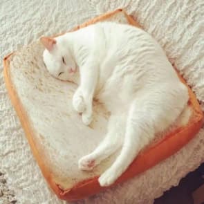 Bread Pillow Cushion
