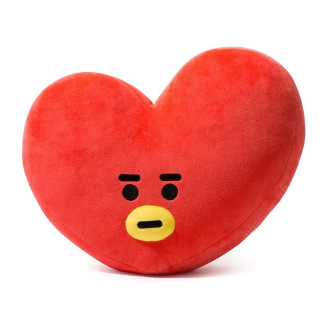 bt21 pillow tata