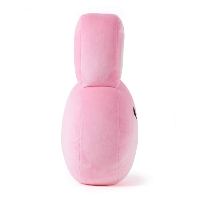 cooky cushion bt21