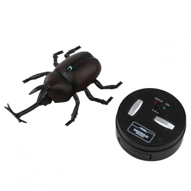 remote control beetle price