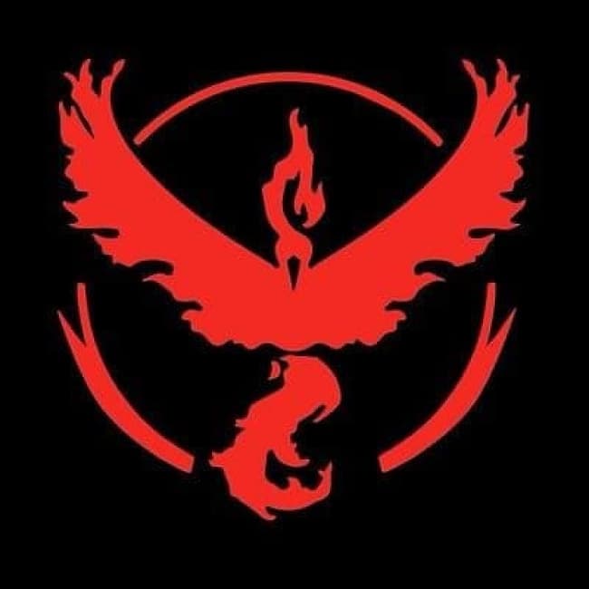 Pokemon Go Red Team Valor Window Decal Toy Game Shop